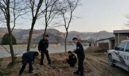 甘肃西和县爆料事件最新,揭开乡村乱象背后的真相