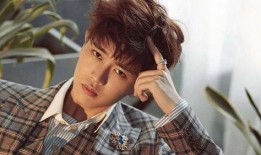 肖战和任嘉伦最新爆料,揭秘幕后故事与未来计划