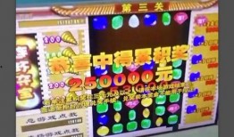 彩票爆料视频大全最新版,最新版深度解析