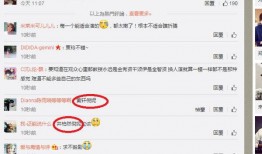 微博爆料艺人名单最新,揭秘娱乐圈最新艺人名单，明星动向大揭秘！”