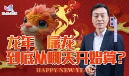 龙宝宝最新爆料视频大全,揭秘幕后真相与精彩瞬间